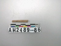 藏品(磨製石針)的圖片